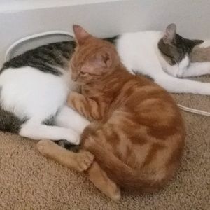 Meet your Posher, Russell